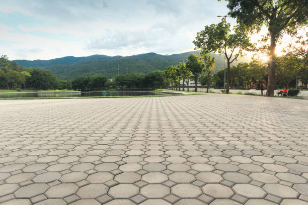 Best Custom Driveway Pavers  in Monsey, NY